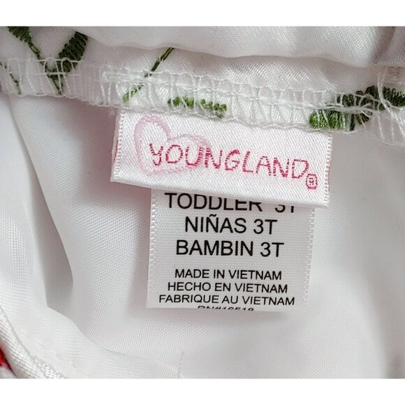 Youngland Toddlers Sleeveless Dress Size 3T White w/Red Roses Ties Waist - Picture 4 of 4
